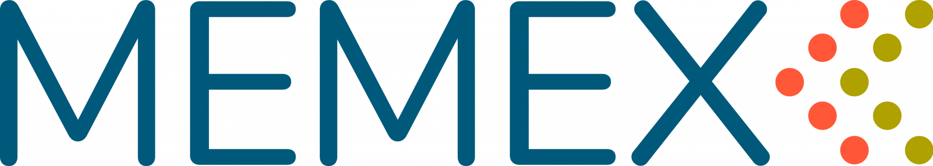 MEMEX Project