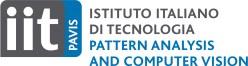 Italian Institute of Technology